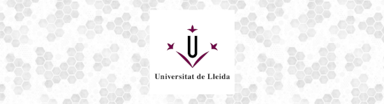 Universitat de Lhèida